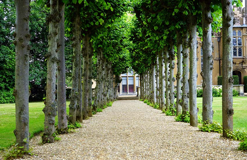 Transform your yard with easy DIY landscaping ideas