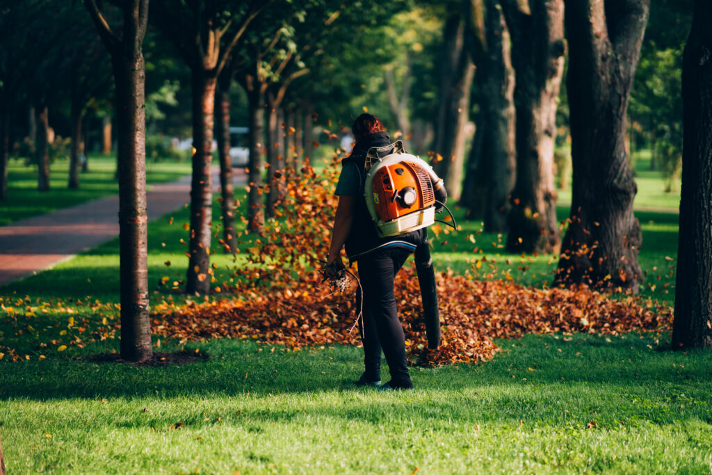 garden maintenance